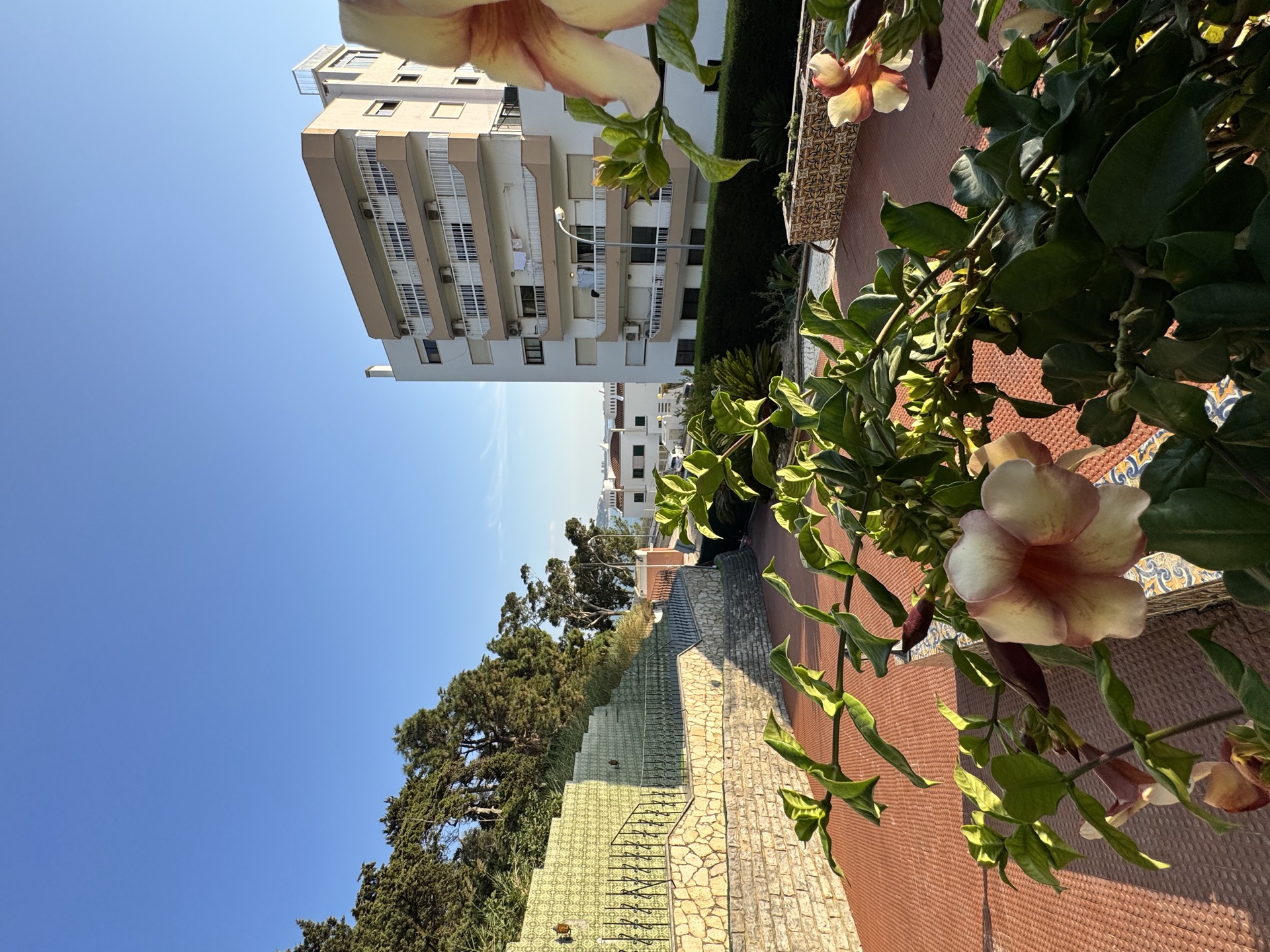 Garden terrace with river view, Santa Catarina Villa